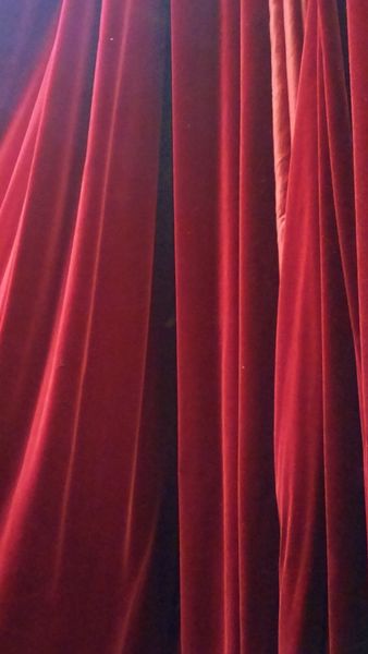 Red Plush Velvet, Red Lined